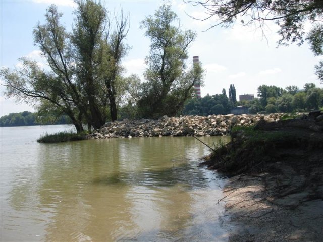 DSC05777 (Medium)